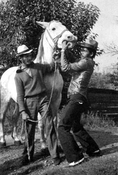 Lovara in Rumänien überprüfen ein Pferd
